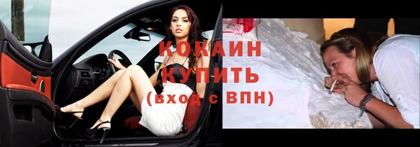 сатива Бронницы
