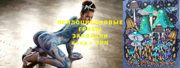 стафф Бородино