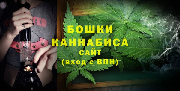 стафф Бородино