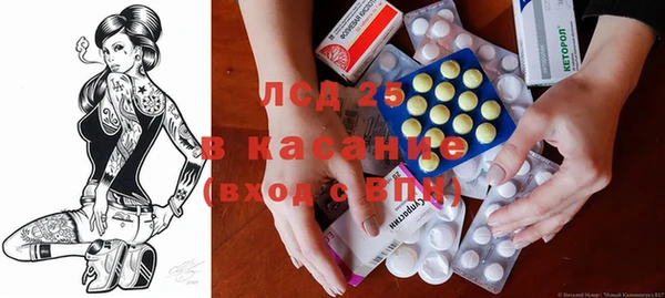 стафф Бородино