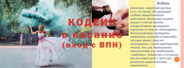 стафф Бородино