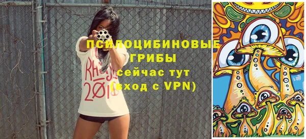сатива Бронницы