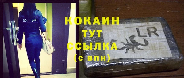 сатива Бронницы