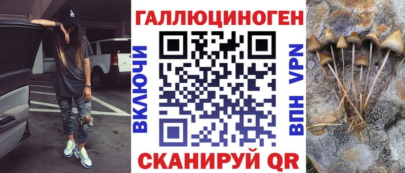 Псилоцибиновые грибы Psilocybe дарнет шоп Новопавловск
